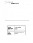 Formato de plan de logros.