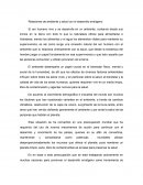 Relaciones de ambiente y salud con el desarrollo endógeno