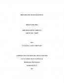 Ensayo la revolucion.