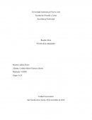 Reseña critica “El club de la salamandra”