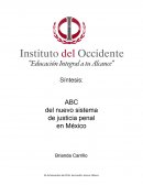 Solicitar, ante el juez, el ejercicio de la acción penal, sin la intervención del Ministerio Público