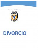 Estudio sistemático de las causas del divorcio.