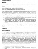 Lingüística El autor va a explicar (tomando como ejemplo a las abejas) la comunicación que existe entre los animales, para luego, contrastarla con las complejas particularidades que caracterizan al lenguaje humano.