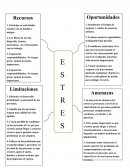 PROPUESTA PARA DISMINUIR EL ESRES