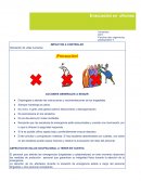 IMPACTOS A CONTROLAR Afectación de vidas humanas