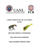 Características de los seres vivos. Características morfológicas