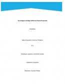 Tecnológico de Baja California Plantel Ensenada DrawBack