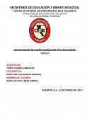 Teoria y diseno curricular.