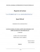 Reporte de lectura a"la pubertad y la adolescencia" juan delval