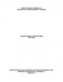 ENSAYO SOBRE EL DESARROLLO (TECNOLOGICO, ORGANIZACIONAL Y HUMANO)