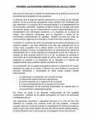 RESUMEN: LAS ECONOMIAS EMERGENTES EN LOS FLAT TEENS