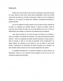 Métodos y Tiempos. Medición y Corte de piezas