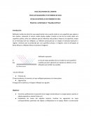 PRACTICA I APARTADO II ‘‘PALANCA OPTICA’’