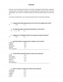 ENCUESTA EMPRESA DE ARTESANIAS.