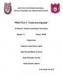 PRACTICA 2 “CAIDA AMORTIGUADA”