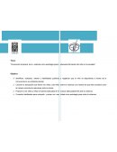 Prevención temprana de la violencia como estrategia para la adecuada formación del niño en la sociedad