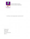 El ser humano y su entorno ecológico. Cuidado y conservación del entorno