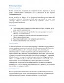 ﻿Metoclopramida. Mecanismo de acción