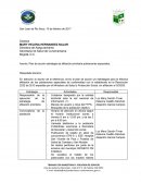 Plan de acción para la afiliación de poblaciones especiales