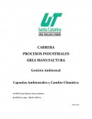 Capsulas ambientales.