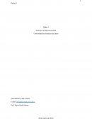 Ejercicios resueltos PINDYCK