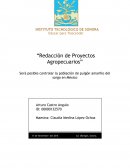 ¿Será posible controlar la población de pulgón amarillo del sorgo en México?