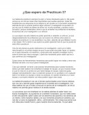 ¿Que espero de Practicum 3?