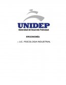 Entrevista a empresa sobre su ergonomia