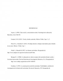 ENSAYO CURRÍCULO Y CLASES SOCIALES. Página 5