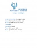 Aparato Circulatorio Y Linfatico