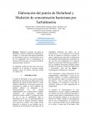 INFORME 4 MICROBIOLOGIA.