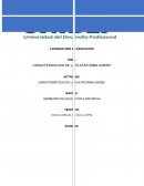 Caracteristicas de una plataforma.