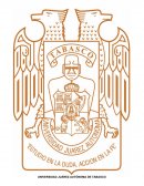 ELABORACION DE MACETAS PARA JARDIN MEDIANTE GARRAFONES DESECHADOS