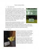 Recursos Minerales en México.