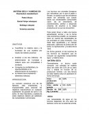 Laboratorio nutricion.