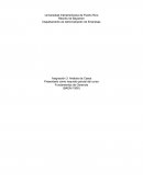 Analisis de caso fundamentos de gerencia.