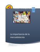 Ensayo sobre la importancia del marketing