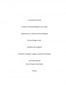 Laboratorio de Inorgánica Practica #3. Hidrógeno, oxígeno y peróxido de hidrógeno