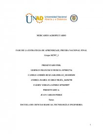 ESCUELA DE CIENCIAS BASICAS, TECNOLOGÍA E INGENIERIA. FASE DE LA ESTRATEGIA DE APRENDIZAJE, PRUEBA NACIONAL FINAL. Página 1