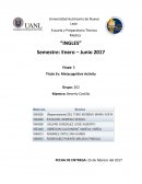 Como se da la Actividad de metacognicion-ingles2