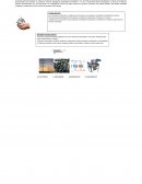 DESARROLLO CIENTÍFICO Y TECNOLÓGICO