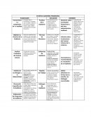 ESTAPAS AUDITORIA FINANCIERA