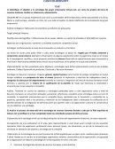 CASO COLOURS.NET Implementación de la estrategia