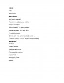 Marco teórico Que es perinatalidad