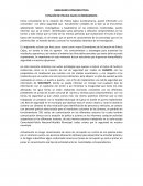 ENSAYO SOBRE HABILIDADES COMUNICATIVAS