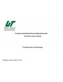 Procesos Industriales Área de Manufacturación Formación socio cultural