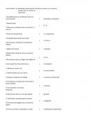 CasaSociedades que se constituyen bajo una denominación