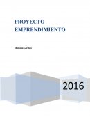 Proyecto empresarial.