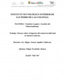 INSTITUTO TECNOLÓGICO SUPERIOR DE SAN PEDRO DE LAS COLONIAS. MATERIA: Tramites Legales y Gestión del Financiamiento.