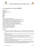 GUIA DE PREPARACION PARA EL 2º. EXAMEN DE FISICA III